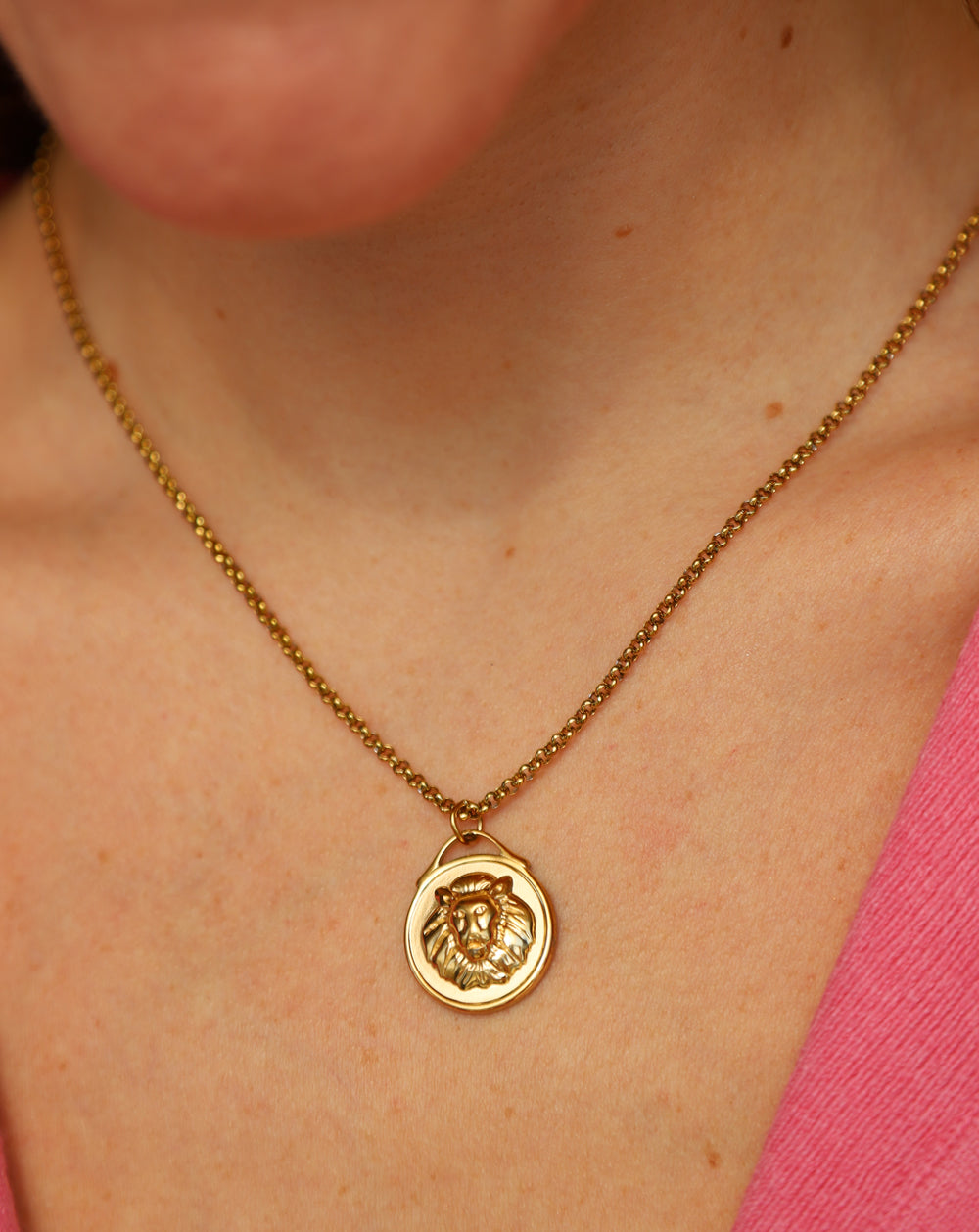 Collar placa redonda leon
